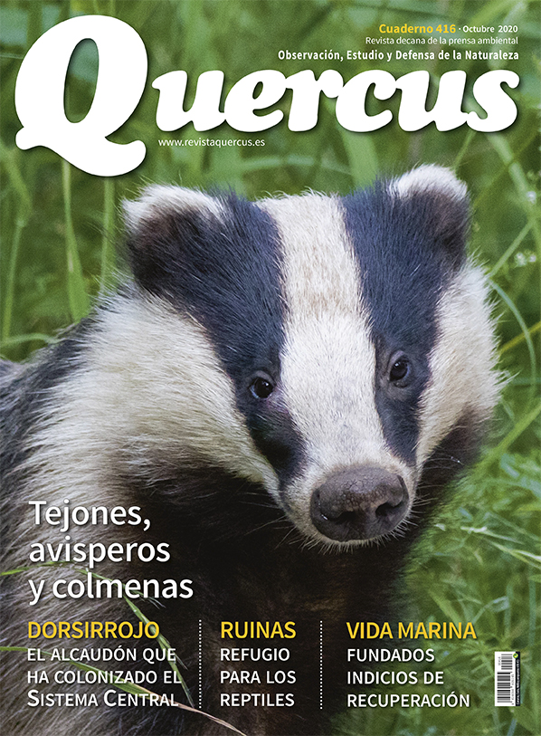 Sumario Quercus nº 416 / Octubre 2020