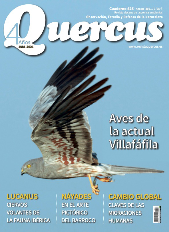 Sumario Quercus nº 426 / Agosto 2021