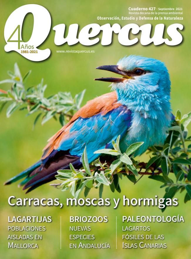 Sumario Quercus nº 427 / Septiembre 2021