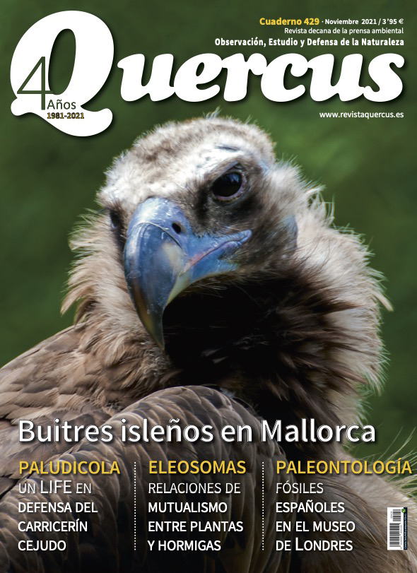 Sumario Quercus nº 429 / Noviembre 2021