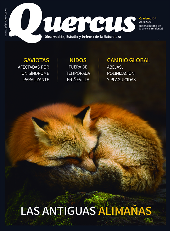 Sumario Quercus nº 434 / Abril 2022