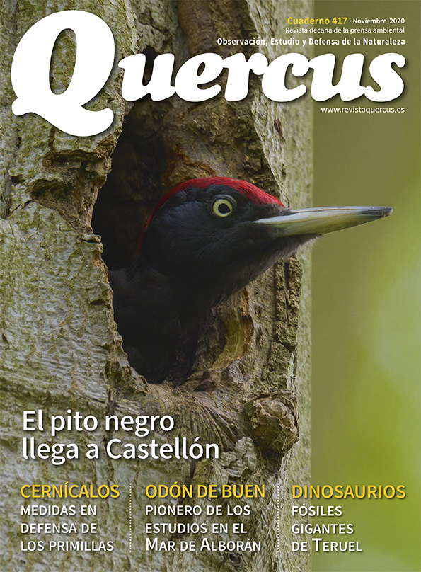 Sumario Quercus nº 417 / Noviembre 2020