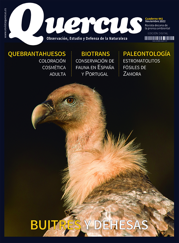 Sumario Quercus nº 441 / Noviembre 2022