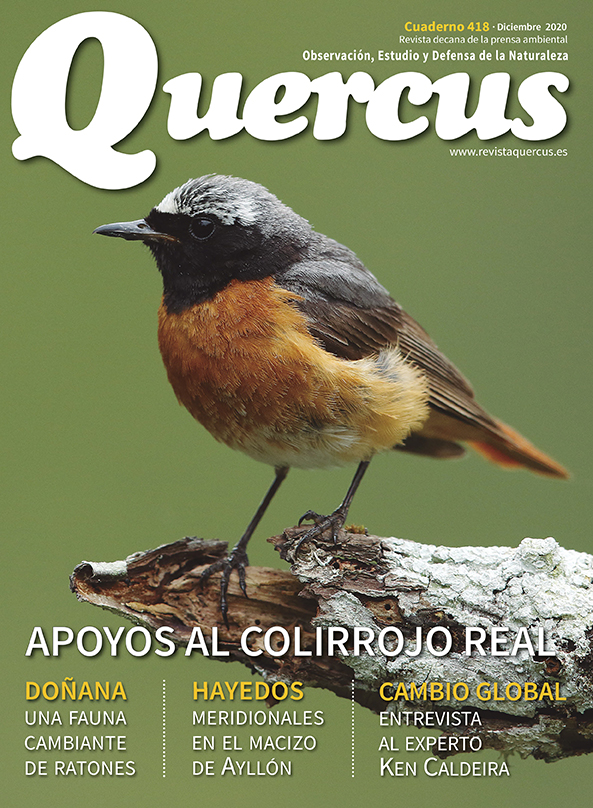 Sumario Quercus nº 418 / Diciembre 2020