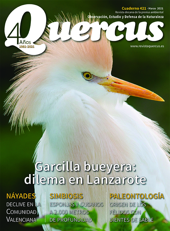 Sumario Quercus nº 421 / Marzo 2021