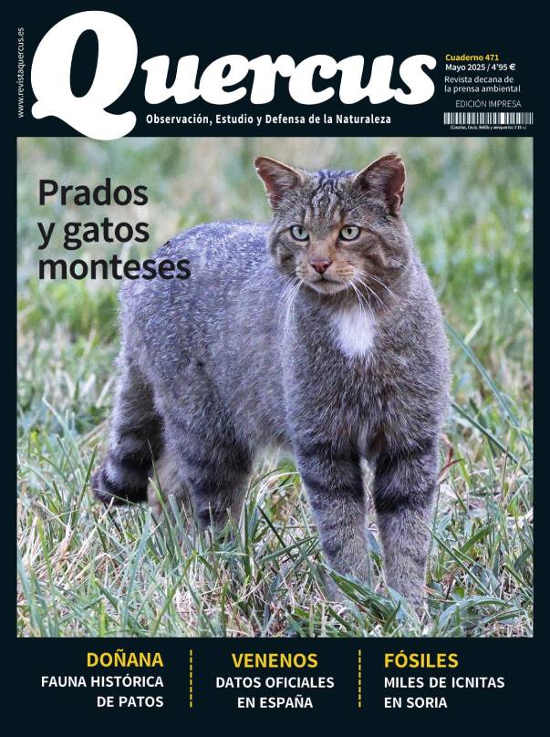 Sumario Quercus 471 / Mayo 2025