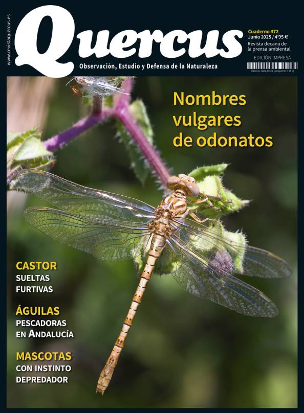 Sumario Quercus 472 / Junio 2025