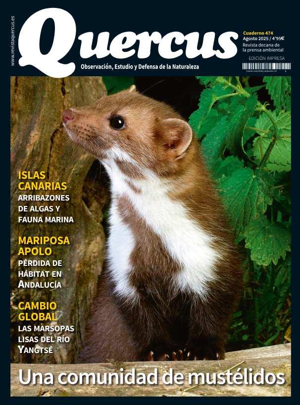 Sumario Quercus 474 / Agosto 2025