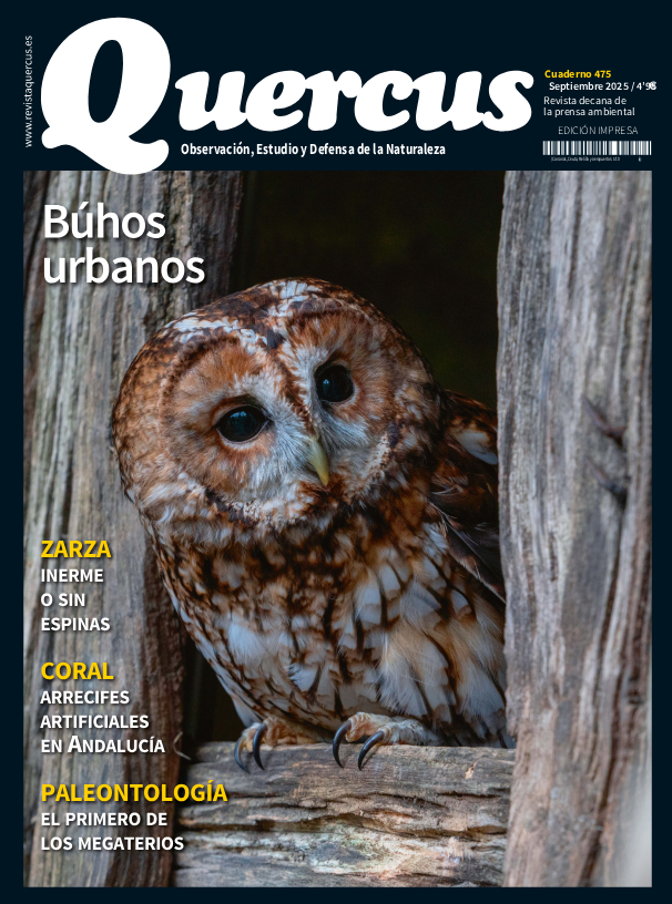 Sumario Quercus 475 / Septiembre 2025