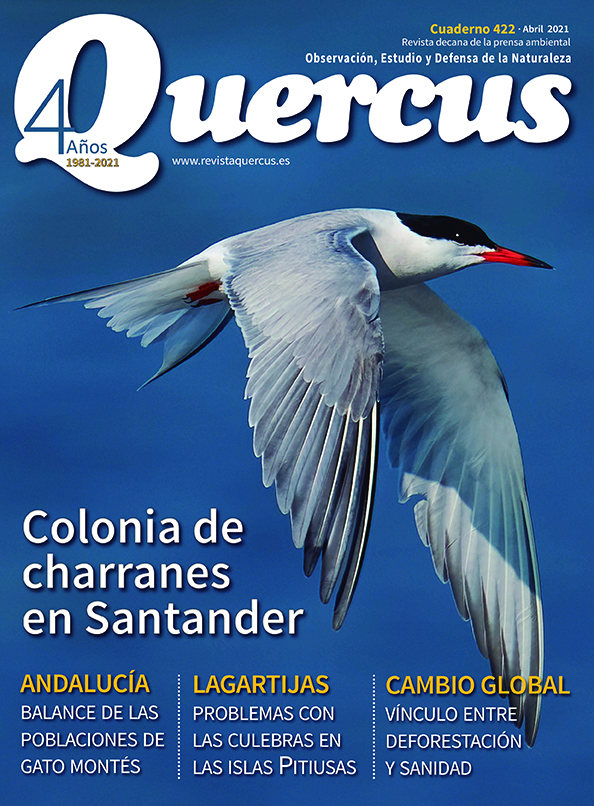 Sumario Quercus nº 422 / Abril 2021