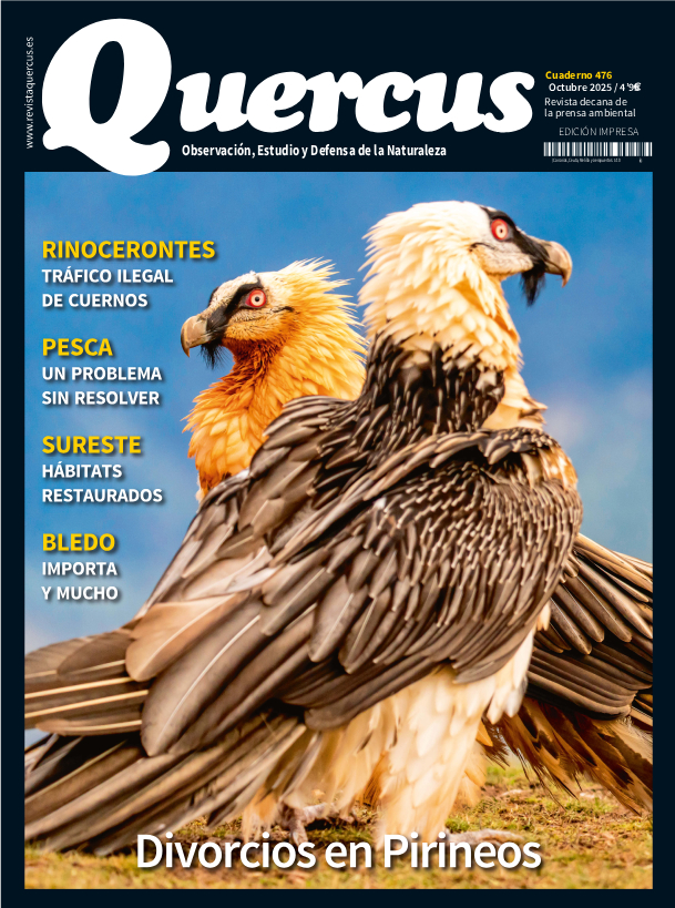 Sumario Quercus 476 / Octubre 2025