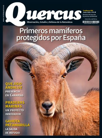 Sumario Quercus 484 / Junio 2026