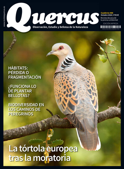Sumario Quercus 488 / Octubre 2026