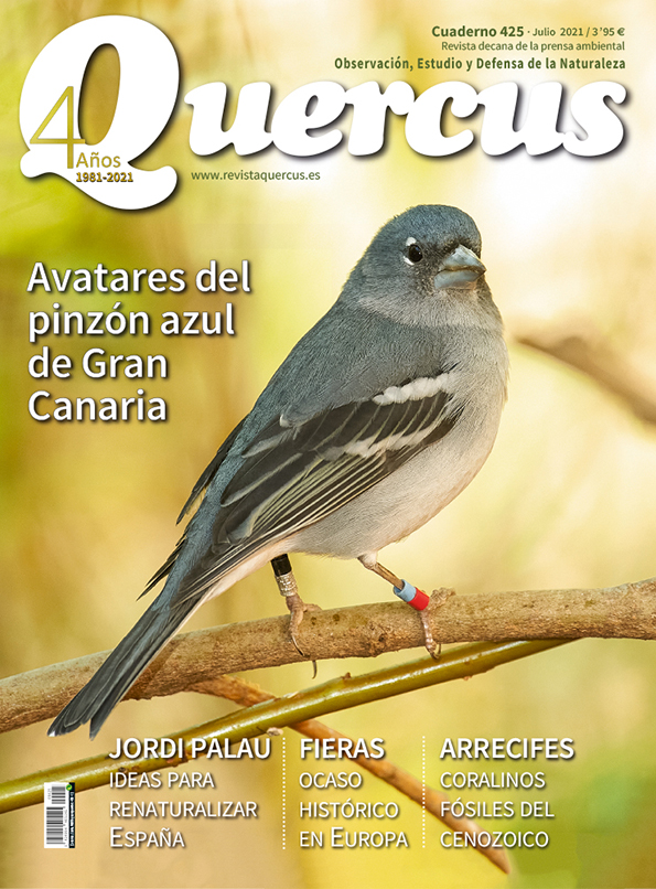 Sumario Quercus nº 425 / Julio 2021