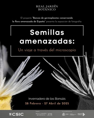 Cartel de la exposición “Semillas amenazadas: un viaje a través del microscopio”.