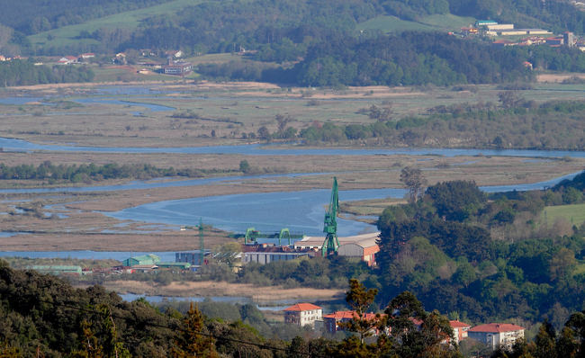 Panorámica de las marismas de Urdaibai, en Bizkaia. Las construcciones e infraestructuras que se ven en primer término son las de Astilleros Murueta, donde se planea construir la sucursal del Museo Guggenheim de Bilbao (foto: Urdaibai Bird Center).