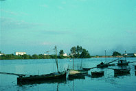 La introducción del camarón oriental en el estuario del Guadalquivir