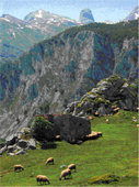 Picos de Europa, una oportunidad para pastores y quebrantahuesos