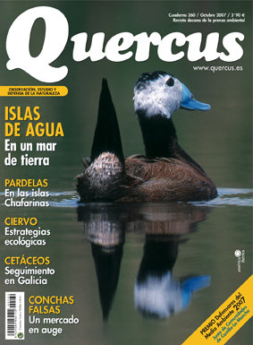 Portada Quercus 260