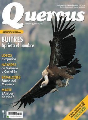 Portada Quercus 261