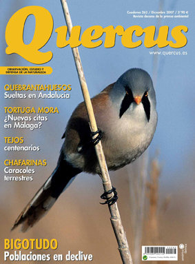 Portada Quercus 262