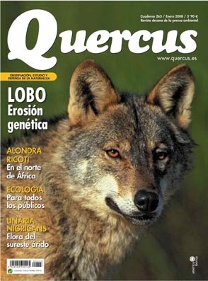 Portada Quercus nº 263 - Enero 2008