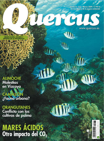 Quercus 277 / Marzo 2009 + ¡ GRATIS ! Libro Turismo Ornitológico en Extremadura
