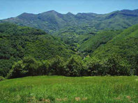 Salta la alarma en la montaña asturiana