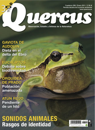 Portada Quercus nº 299 / Enero 2011