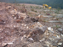 Un nuevo capítulo en el culebrón de ENCE y el FSC