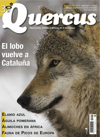 Portada Quercus nº 302 / Abril 2011  