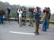 Con Swarovski en la meca de los birdwatchers