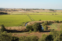 Reintroducidas con éxito águilas imperiales y pescadoras en Andalucía