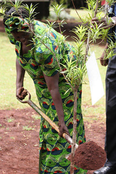 El MARM lamenta el fallecimiento de Wangari Maathai, Premio Nobel de la Paz en 2004