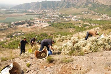 Una cuadrilla actúa en una zona de la sierra de Orihuela (Alicante) invadida por el cardenche con el objetivo de erradicar este cactus invasor (foto: Vicente Deltoro).